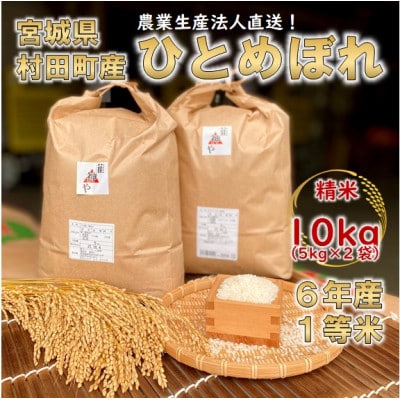 令和6年宮城県産 ひとめぼれ 精米10kg(5kg×2袋)【村田町産】