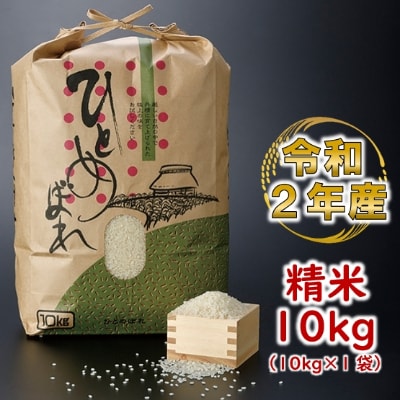 米 精米 10kg