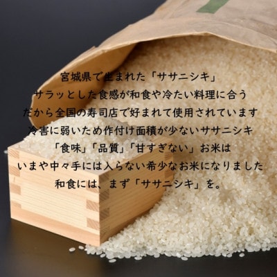 令和6年産 ササニシキ 精米10kg(5kg×2) 宮城県村田町産