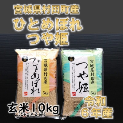 令和6年産 ひとめぼれ・つや姫 玄米10kg(5kg×2) 食べ比べ 宮城県村田町産