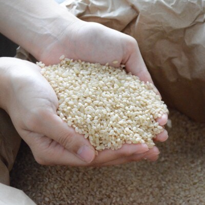 令和4年産 玄米10kg(5kg×2) ひとめぼれ・つや姫 食べ比べ 宮城県村田町産