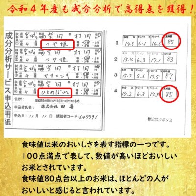 令和4年産 玄米10kg(5kg×2) ひとめぼれ・つや姫 食べ比べ 宮城県村田町産