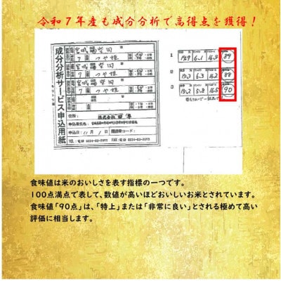 令和7年産 つや姫 精米10kg(5kg×2)  宮城県産