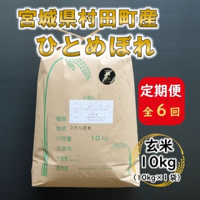 【毎月定期便】宮城県村田町産ひとめぼれ　玄米10kg(10kg×1)全6回