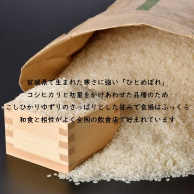 【毎月定期便】宮城県村田町産ひとめぼれ　玄米10kg(10kg×1)全6回