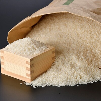 2023年3月発送開始『定期便』つや姫 精米10kg(5kg×2) 宮城県産全3回