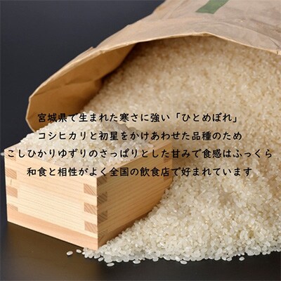 2023年3月発送開始『定期便』ひとめぼれ 精米10kg 宮城県村田町産全3回