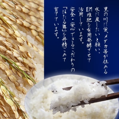 【新嘗祭献穀献納米・農林水産大臣賞受賞】「ほたる舞(R)」 ひとめぼれ 精米8kg