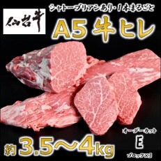 A5仙台牛ヒレ1本分【オーダーカットE(ブロック×3)】約3.5kg～4.0kg