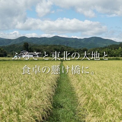 令和4年産 宮城県産つや姫 玄米10kg ◆8年連続最高評価特A受賞