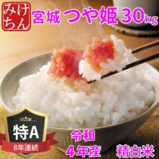 令和4年産　宮城県産つや姫 精白米30kg　◆8年連続最高評価特A受賞