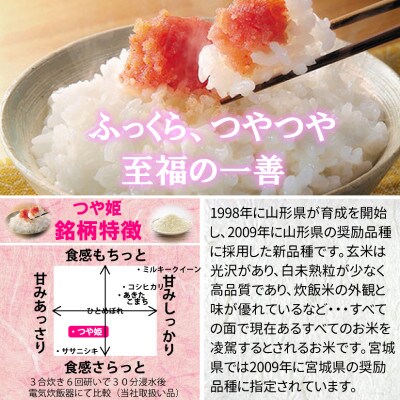 令和4年産 宮城県産つや姫 精白米30kg ◆8年連続最高評価特A受賞