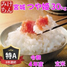 令和4年産　宮城県産つや姫 玄米30kg　◆8年連続最高評価特A受賞