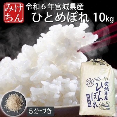 令和6年産　宮城県産ひとめぼれ10kg　5分づき