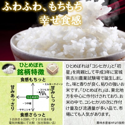 令和6年産　宮城県産ひとめぼれ10kg　5分づき