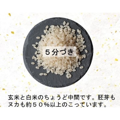 令和6年産　宮城県産ひとめぼれ10kg　5分づき