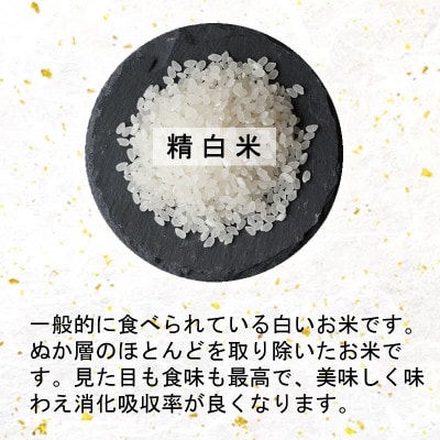 令和6年産　宮城県産ミルキークイーン 精米10kg