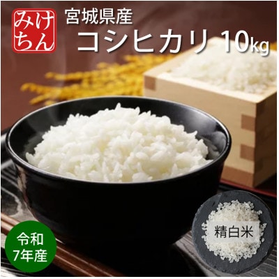 令和7年産　宮城県産コシヒカリ 精米10kg