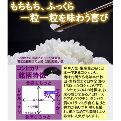 令和7年産　宮城県産コシヒカリ 精米10kg