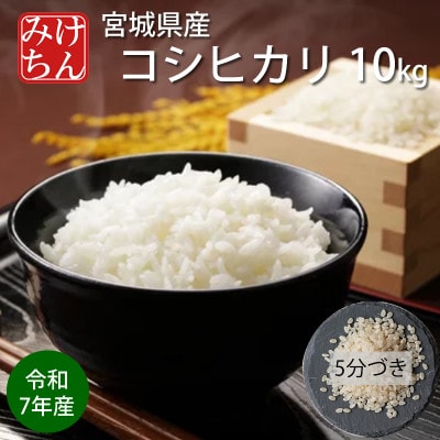 令和7年産　宮城県産コシヒカリ 5分づき精米　10kg