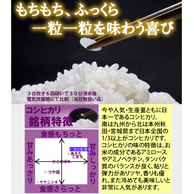 令和7年産　宮城県産コシヒカリ 5分づき精米　10kg