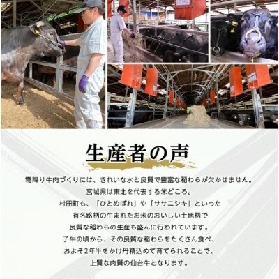 【A5仙台牛】黒毛和牛100% プレミアムハンバーグ 140g×10(合計1.4kg)