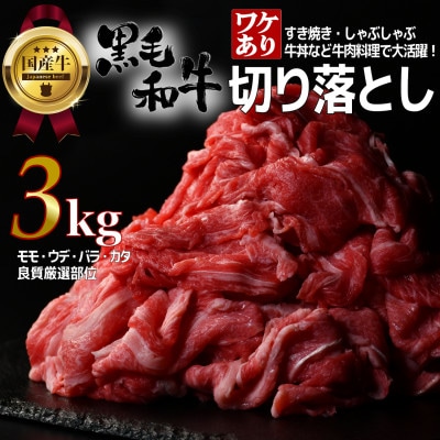 【訳あり】宮城県産黒毛和牛 3.0kg(500g×6)部位厳選切り落とし すき焼き・しゃぶしゃぶ用