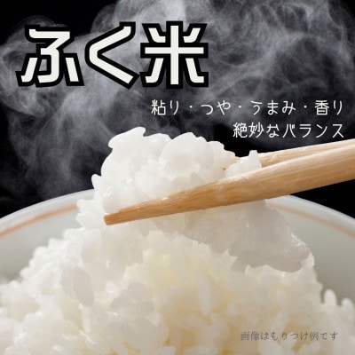 【お米市場】村田町ふく米(ひとめぼれ・白米・令和7年産)10kgオリジナルブランド