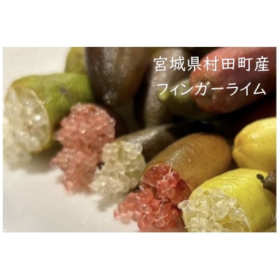 【宮城県村田町産】フィンガーライムMIX　100g×1パック
