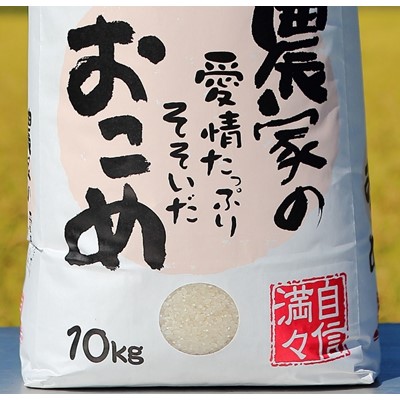 【令和3年産】うるぎ米10kg