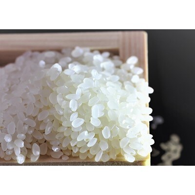 【令和3年産】うるぎ米3kg