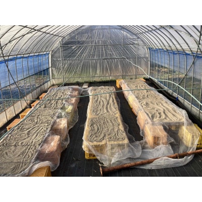 【栽培期間中農薬不使用・圧縮生絞り】新鮮えごま油　110g×3本(手作り　南信州 売木村産)