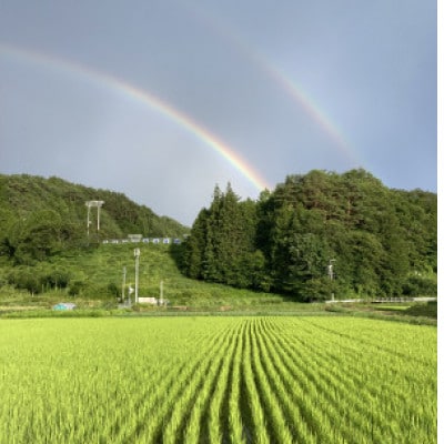 令和8年産 うるぎ米(ミネアサヒ精米5kg)　栽培期間中農薬不使用