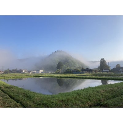 令和8年産 うるぎ米(ミネアサヒ精米5kg)　栽培期間中農薬不使用