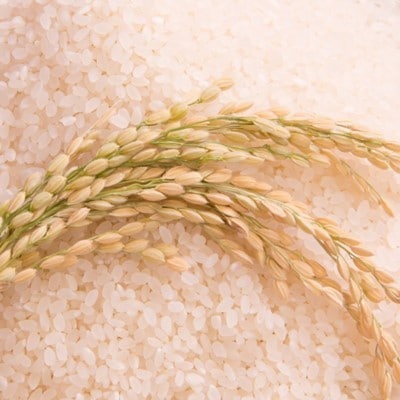 令和2年産【くりはら四姉米Aプラス】2kg×4品種+ひとめぼれ2kg(計10kg)