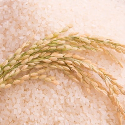 令和5年産【くりはら四姉米Bプラス】4.5kg×4品種+ひとめぼれ4.5kg
