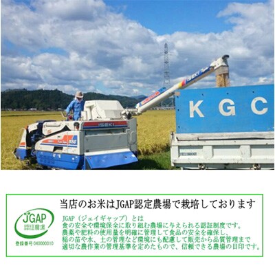 【発送月固定定期便】【宮城米定期便】※10月中旬お届け開始です!全5回