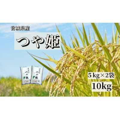 【令和7年産】宮城栗原産 つや姫 白米10kg (5kg×2袋)
