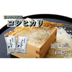 【新米】【令和5年産】宮城栗原産 コシヒカリ 白米10kg (5kg×2袋)