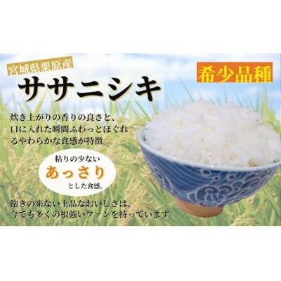 【令和6年産】宮城栗原産 ササニシキ 白米5kg (5kg×1袋)