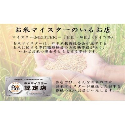 【令和6年産】宮城栗原産 ササニシキ 白米5kg (5kg×1袋)