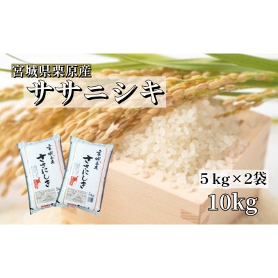 【令和6年産】宮城栗原産 ササニシキ 白米10kg (5kg×2袋)