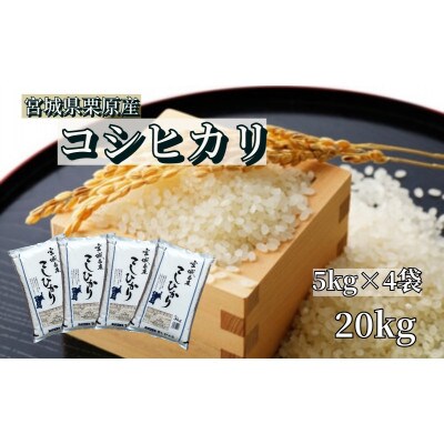 【新米】【令和5年産】宮城栗原産 コシヒカリ 白米20kg (5kg×4袋)