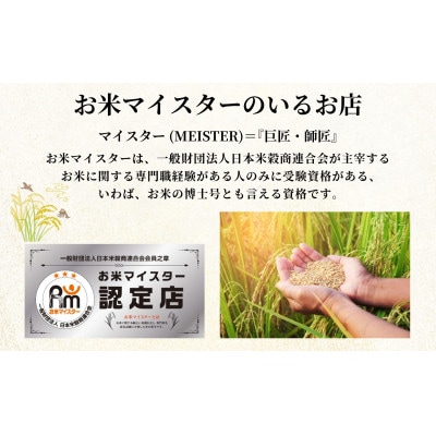 【令和6年産】宮城栗原産 コシヒカリ 白米2kg (2kg×1袋)