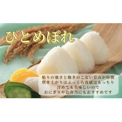 ブランド米 食べ比べセットF(ひとめぼれ・コシヒカリ・だて正夢 各2kg) 宮城県栗原産