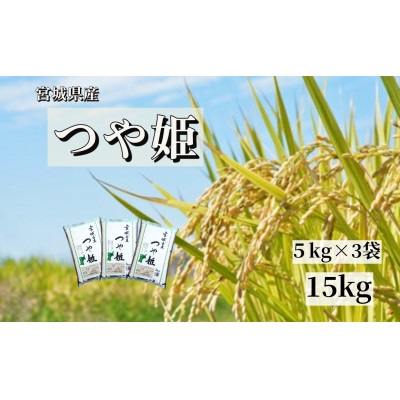 【令和7年産】宮城栗原産 つや姫 白米15kg (5kg×3袋)