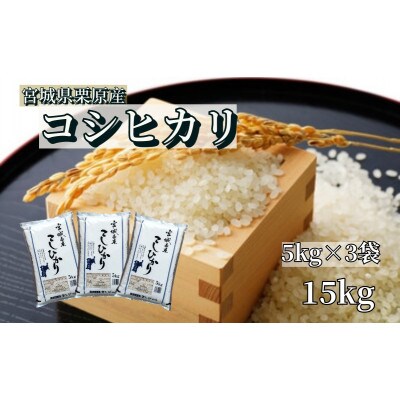 【令和6年産】宮城栗原産 コシヒカリ 白米15kg (5kg×3袋)