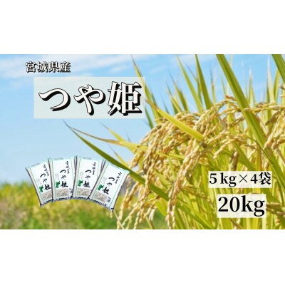 【令和7年産】宮城栗原産 つや姫 白米20kg (5kg×4袋)