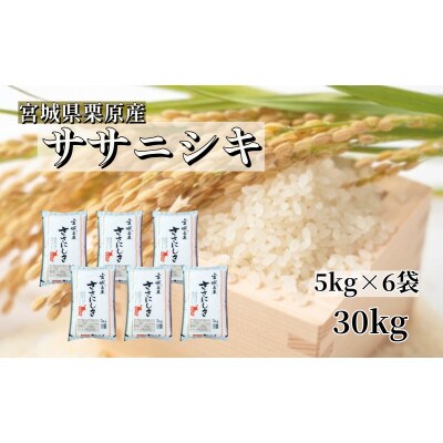 【令和6年産】宮城栗原産 ササニシキ 白米30kg (5kg×6袋)