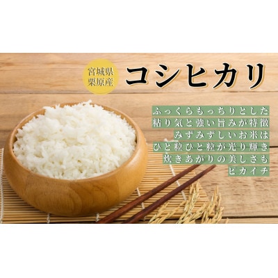 6年産 コシヒカリみやぎの米 玄米25kg